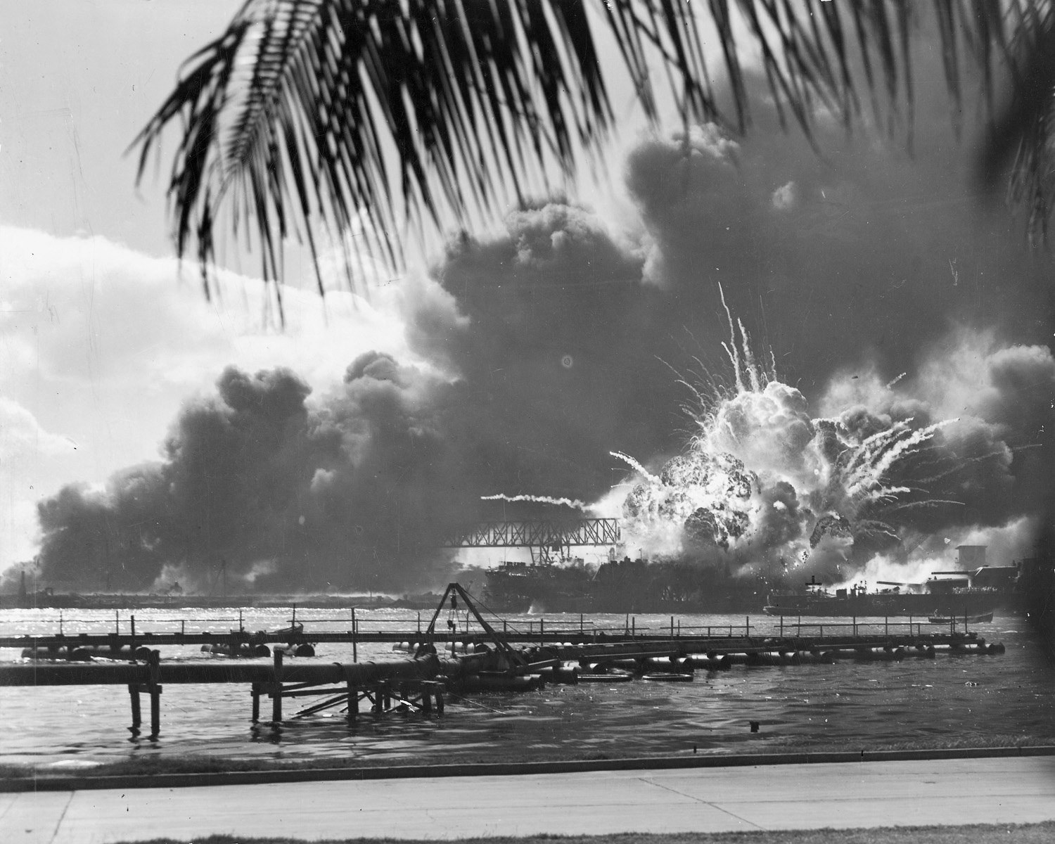 USS-Shaw-Destroyer-Pearl-Harbor-History-00 a group of palm trees on a sunny day with Pearl Harbor in the background