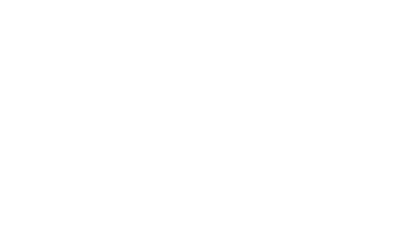 Pearl Harbor Warbirds Logo